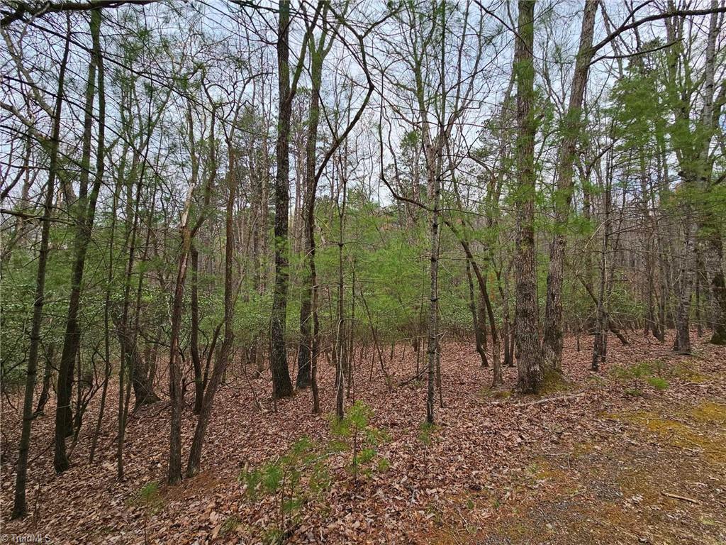 Lot 15 Baldwin Drive, Lowgap, North Carolina image 7