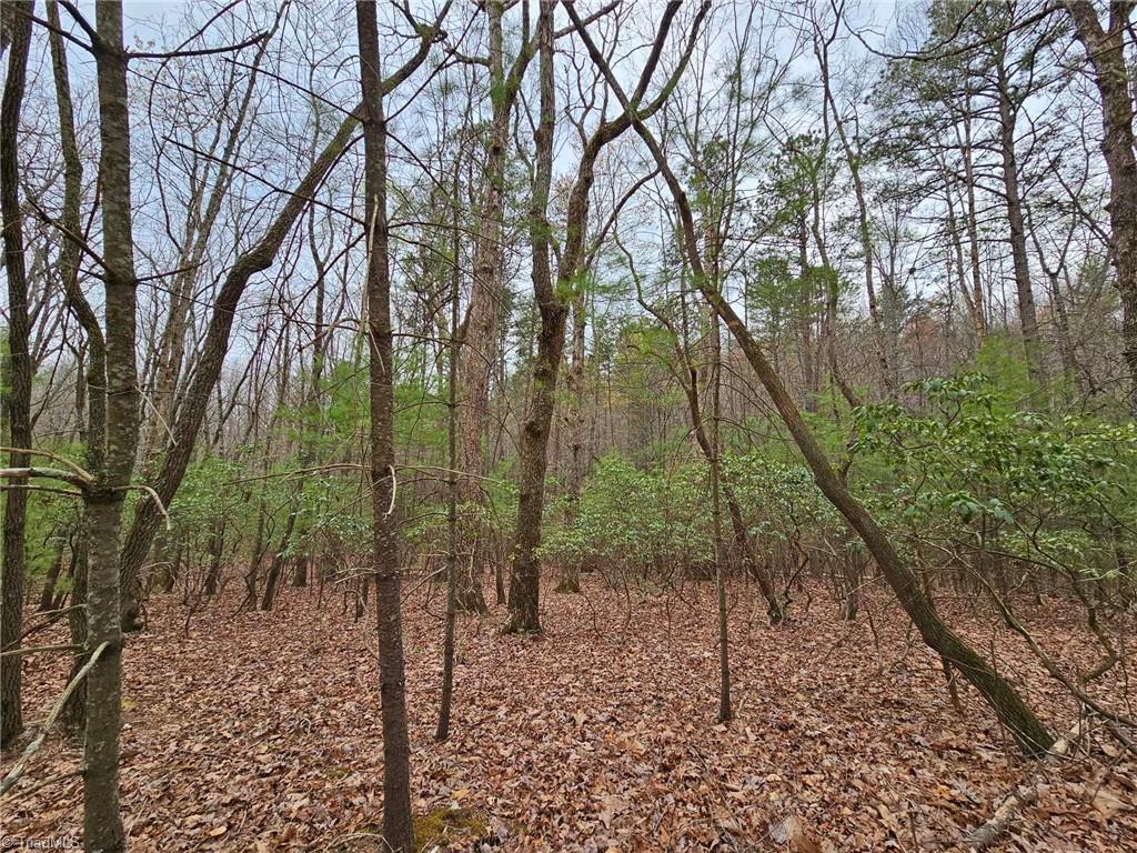 Lot 15 Baldwin Drive, Lowgap, North Carolina image 5