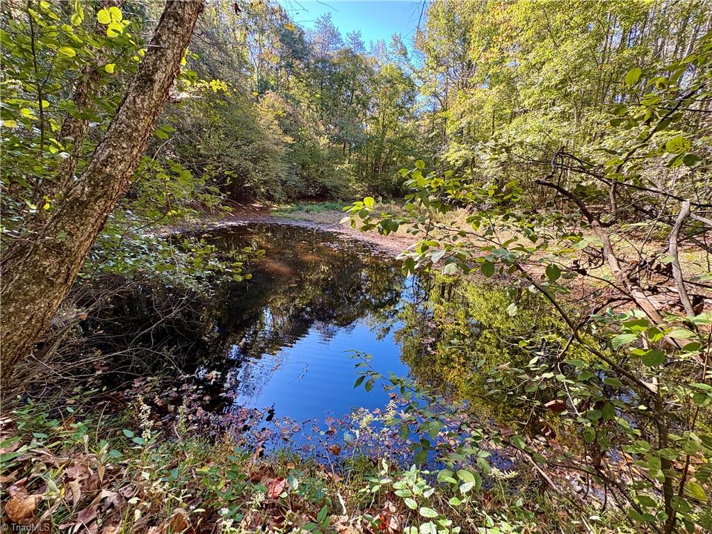 Photo of 3821 View Lane, Yadkinville, NC 27055 (MLS # 1240131)