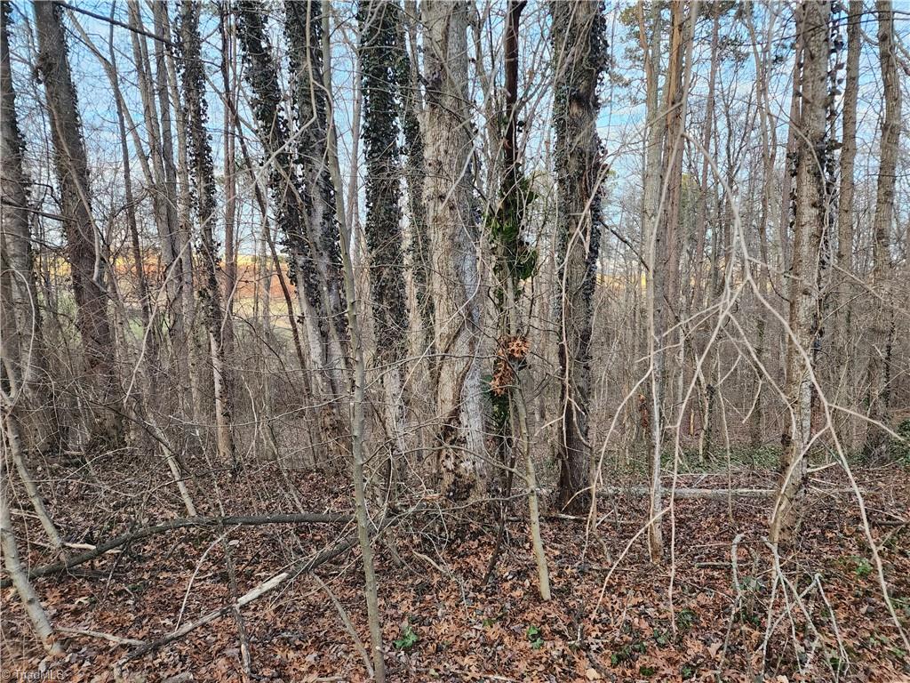 00 Nancy Drive, Mount Airy, North Carolina image 3