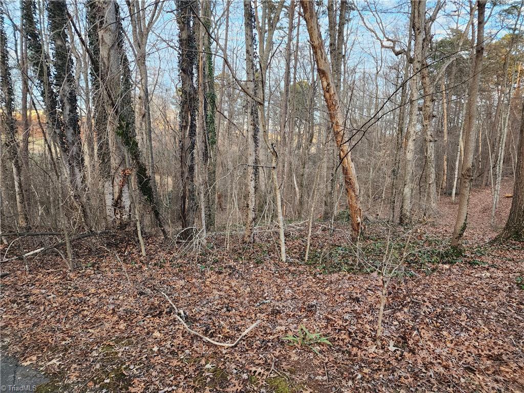 00 Nancy Drive, Mount Airy, North Carolina image 1