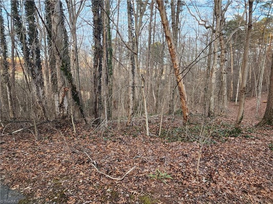 00 NANCY DRIVE, MOUNT AIRY, NC 27030 - Image 0cc9c20c2d991e0c2ebb7316f892d3da/2120639594