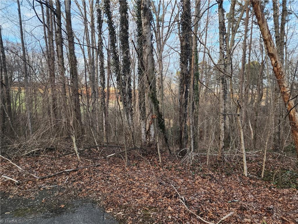 00 Nancy Drive, Mount Airy, North Carolina image 2