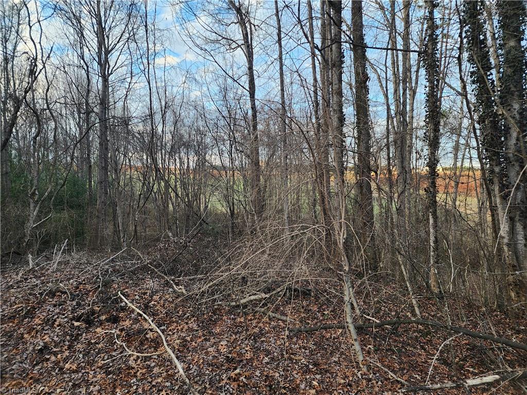 00 Nancy Drive, Mount Airy, North Carolina image 4