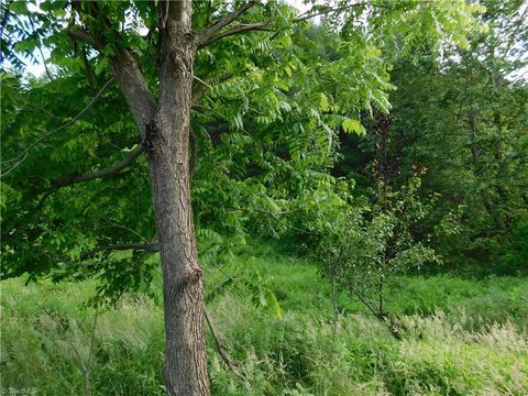 Vacant Land For Sale - TBD Lala Way<br/> Alleghany County, Piney Creek, NC 28663