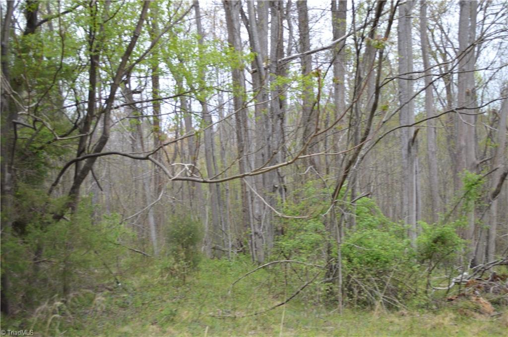 173 Browning Road, Reidsville, North Carolina image 2