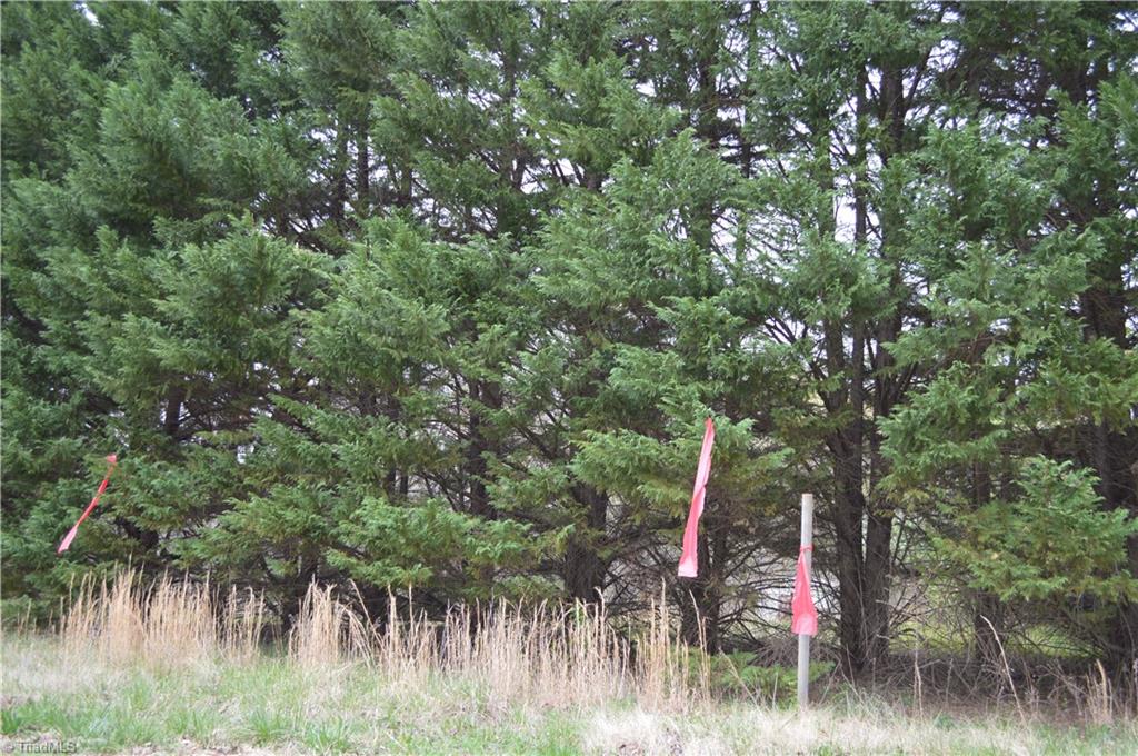 173 Browning Road, Reidsville, North Carolina image 18
