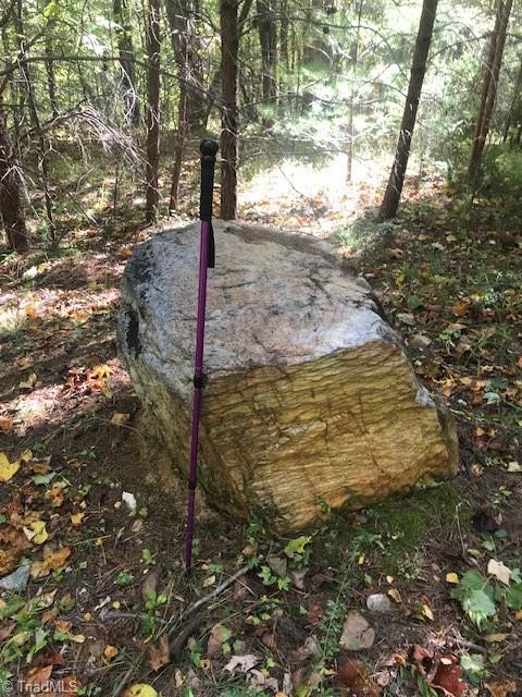 00 Old Railroad Grade Road #RAILROAD GRADE ROAD, Thurmond, North Carolina image 2