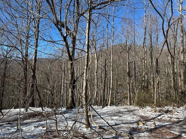 00 Old Railroad Grade Road #RAILROAD GRADE ROAD, Thurmond, North Carolina image 7