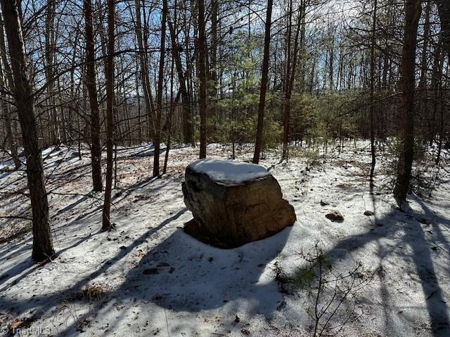 00 Old Railroad Grade Road #RAILROAD GRADE ROAD, Thurmond, North Carolina image 6