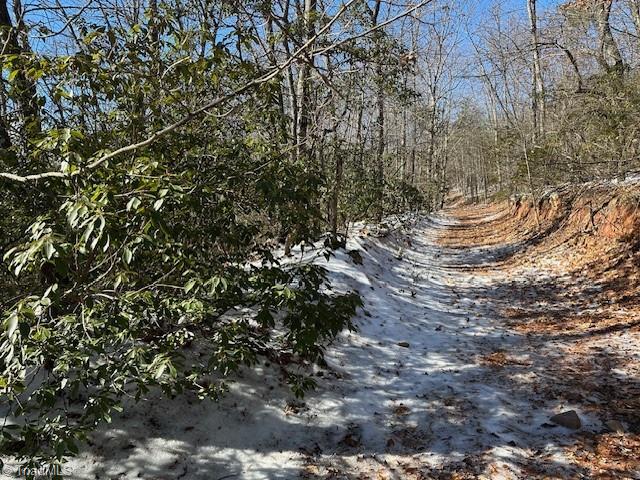 00 Old Railroad Grade Road #RAILROAD GRADE ROAD, Thurmond, North Carolina image 9