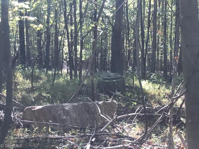 00 Old Railroad Grade Road #RAILROAD GRADE ROAD, Thurmond, North Carolina image 1