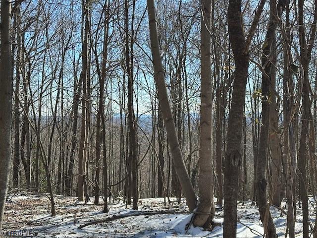 00 Old Railroad Grade Road #RAILROAD GRADE ROAD, Thurmond, North Carolina image 5