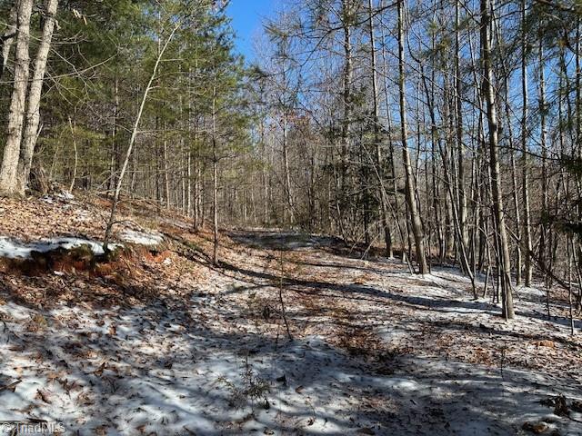 00 Old Railroad Grade Road #RAILROAD GRADE ROAD, Thurmond, North Carolina image 11