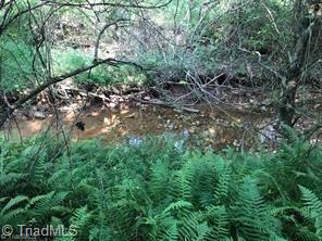 Grassy Fork Road, Elkin, North Carolina image 4