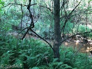 Grassy Fork Road, Elkin, North Carolina image 3