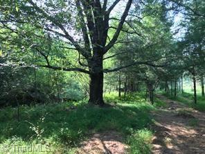 Grassy Fork Road, Elkin, North Carolina image 9