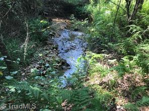 Grassy Fork Road, Elkin, North Carolina image 8