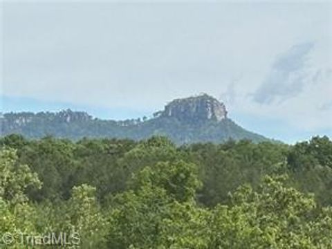 Vacant Land For Sale - 000 Caudle Road<br/> Pinnacle, NC 27043