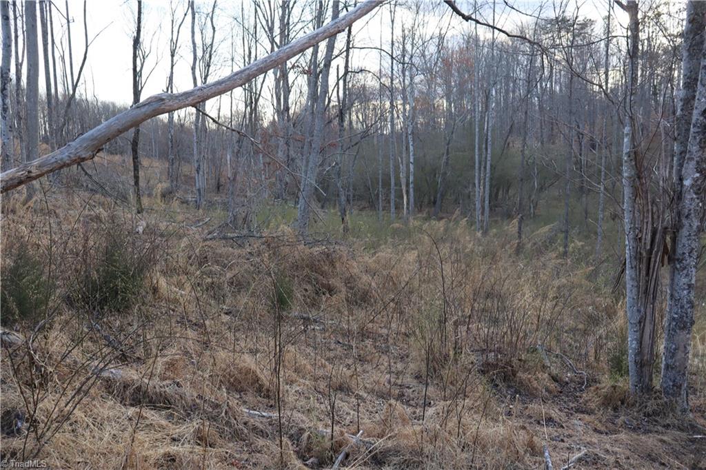 Weldon Smith Road, Lawsonville, North Carolina image 6