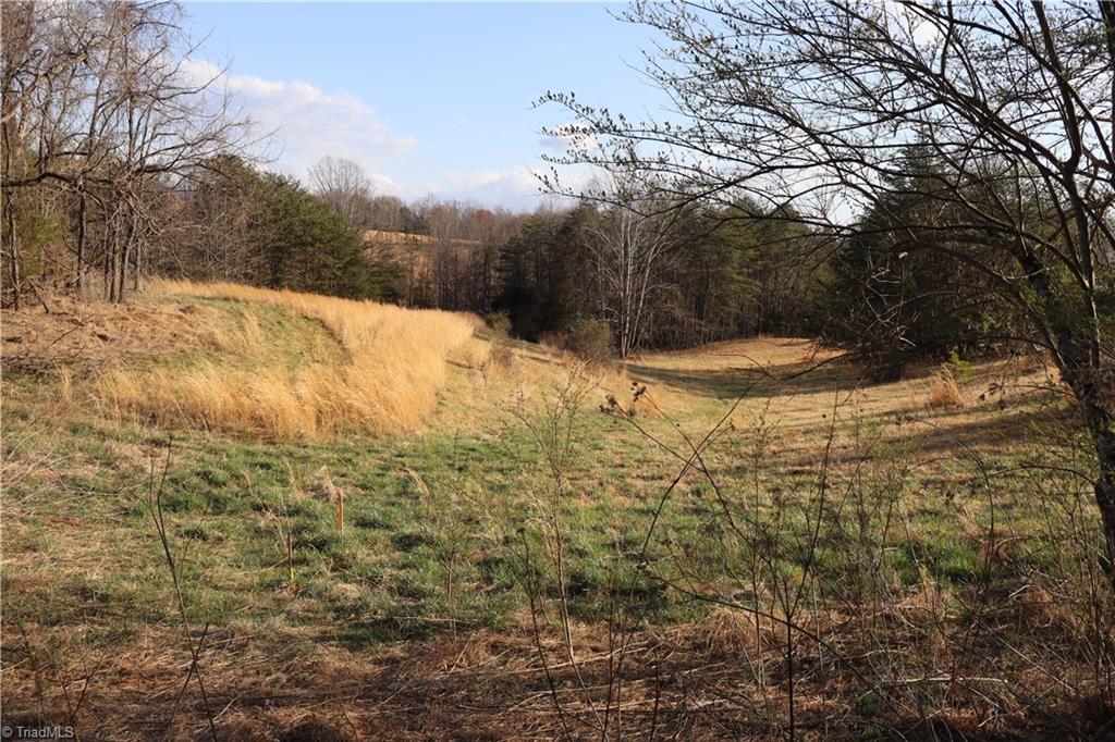 Weldon Smith Road, Lawsonville, North Carolina image 2