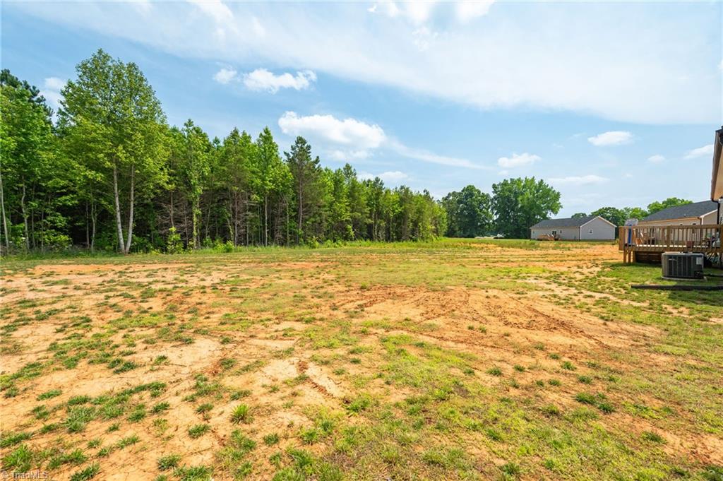565 Dabbs Farm Road, Yanceyville, North Carolina image 34