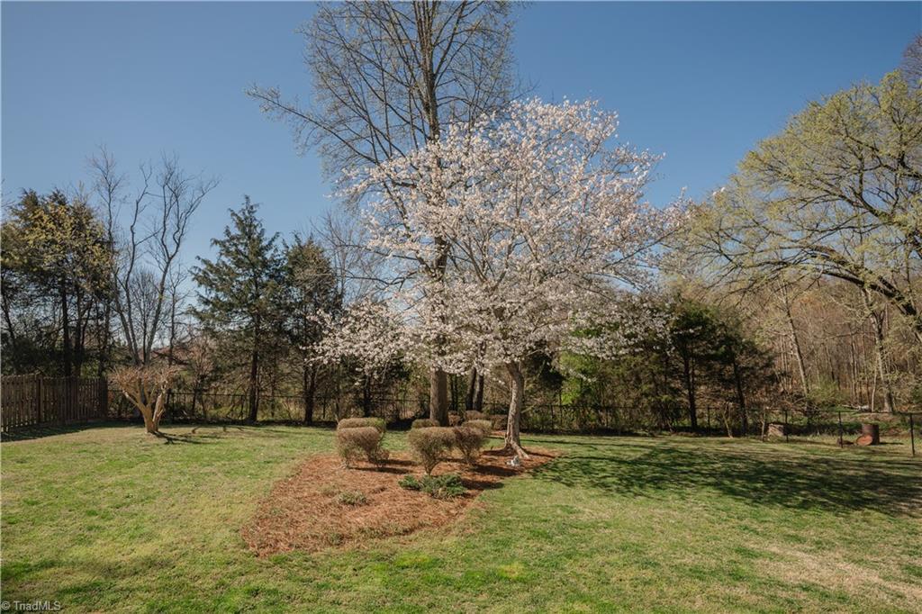 3289 Tyro Road, Lexington, North Carolina image 10