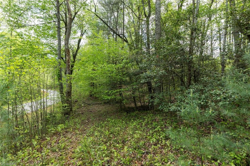00 Burberry Drive, Purlear, North Carolina image 10