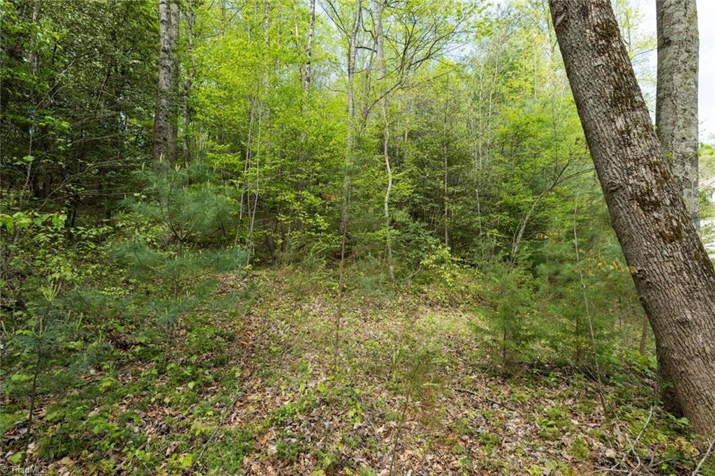 00 Burberry Drive, Purlear, North Carolina image 11