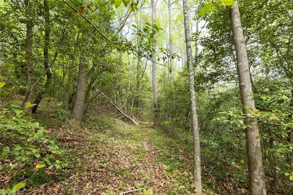 00 Burberry Drive, Purlear, North Carolina image 7