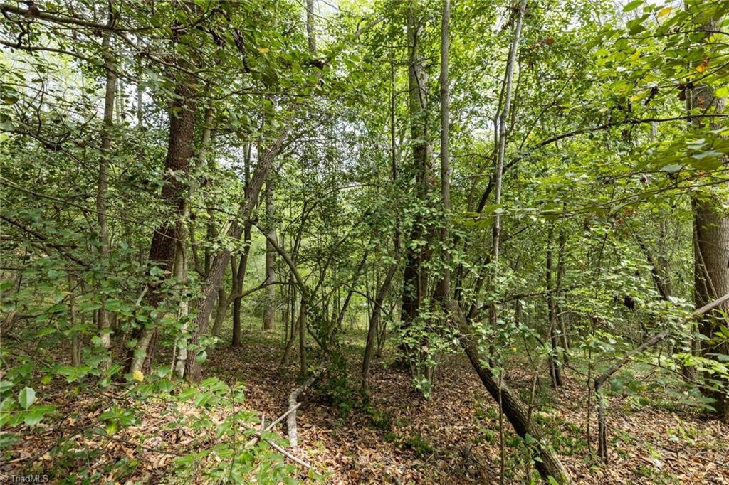 00 Burberry Drive, Purlear, North Carolina image 9