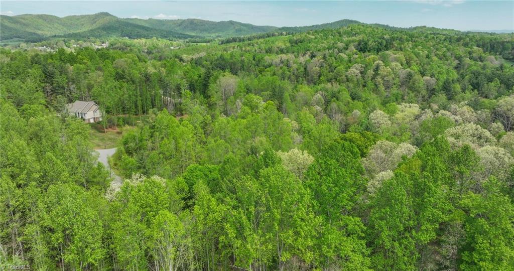 00 Burberry Drive, Purlear, North Carolina image 18