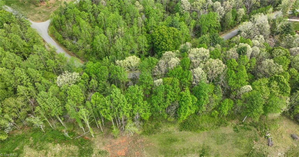 00 Burberry Drive, Purlear, North Carolina image 22