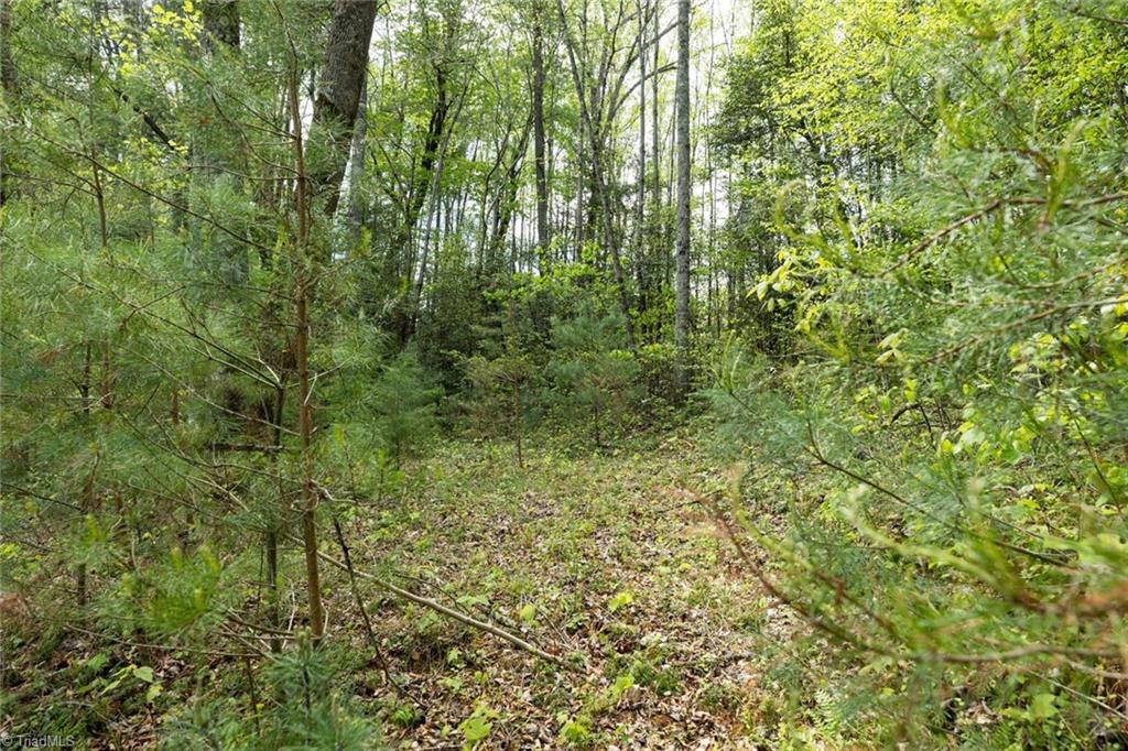 00 Burberry Drive, Purlear, North Carolina image 3