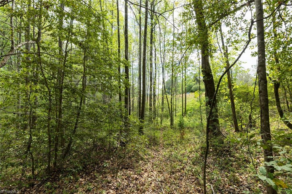 00 Burberry Drive, Purlear, North Carolina image 8