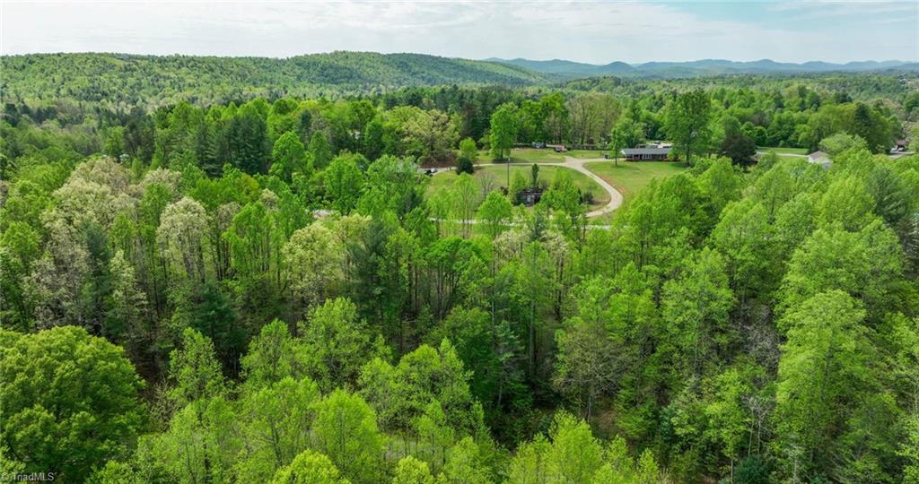 00 Burberry Drive, Purlear, North Carolina image 20