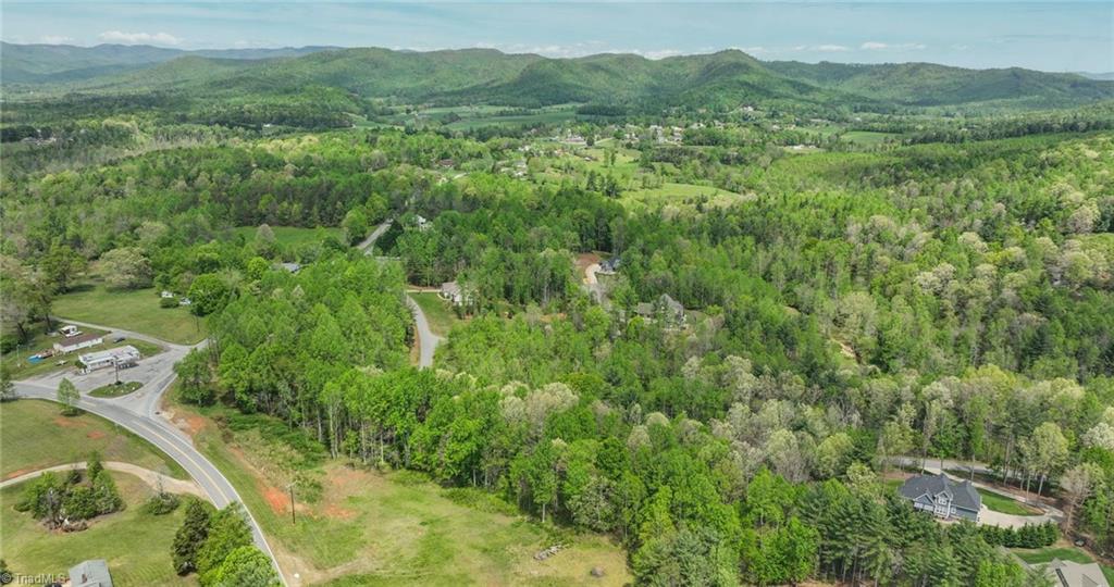 00 Burberry Drive, Purlear, North Carolina image 16