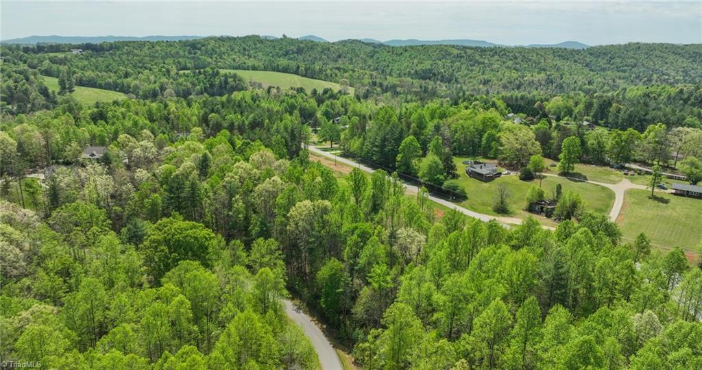 00 Burberry Drive, Purlear, North Carolina image 13