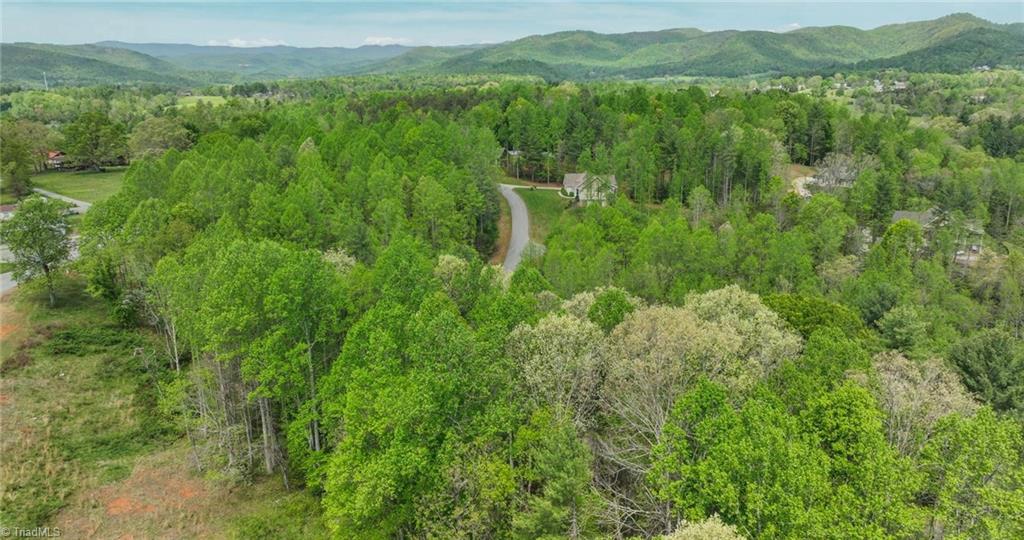 00 Burberry Drive, Purlear, North Carolina image 19
