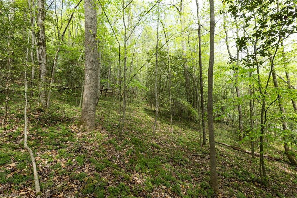 00 Burberry Drive, Purlear, North Carolina image 5