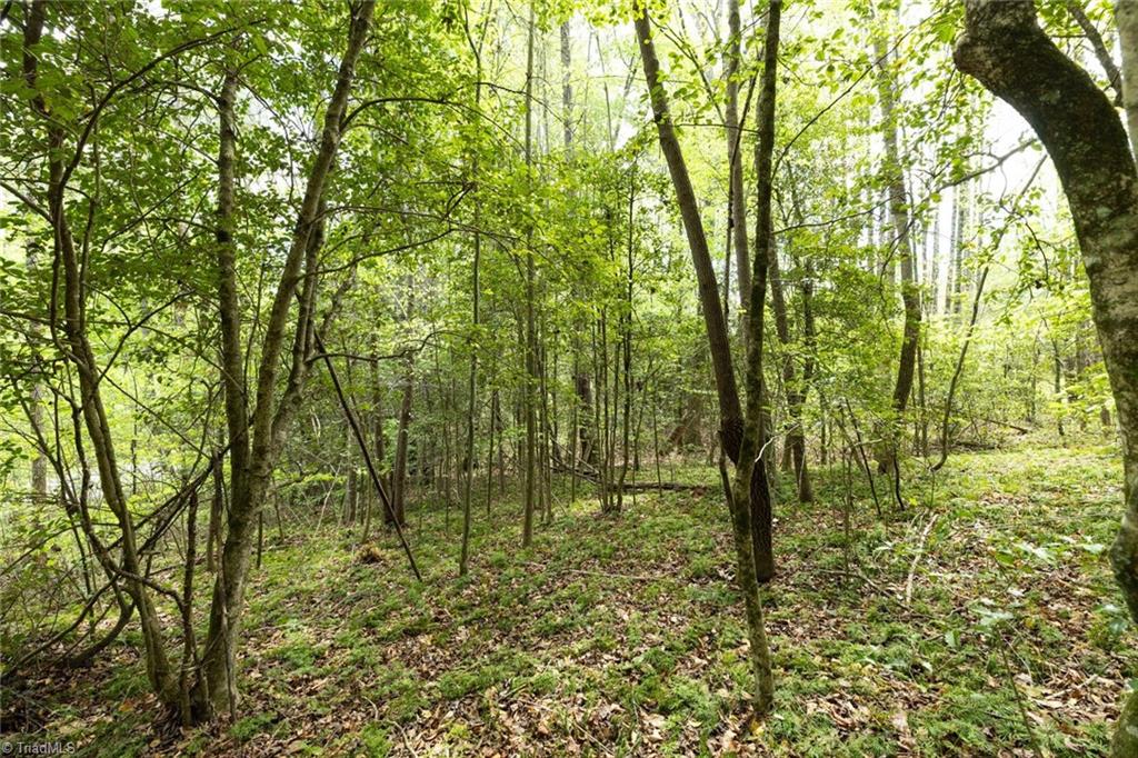 00 Burberry Drive, Purlear, North Carolina image 6