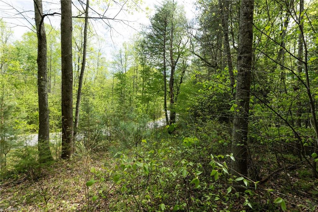 00 Burberry Drive, Purlear, North Carolina image 4
