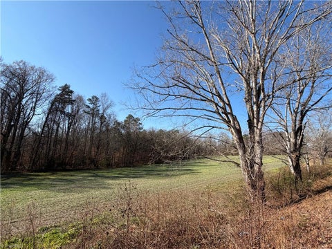 Vacant Land For Sale - 00 Conrad Road<br/> Lewisville, NC 27023