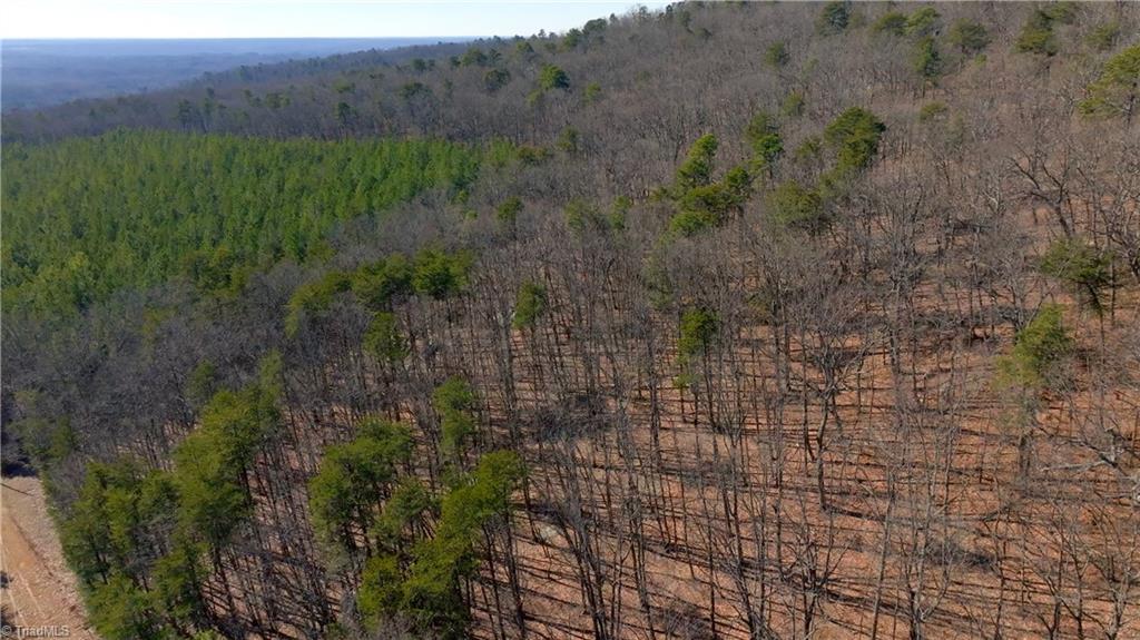 Seven Springs Road, Walnut Cove, North Carolina image 12