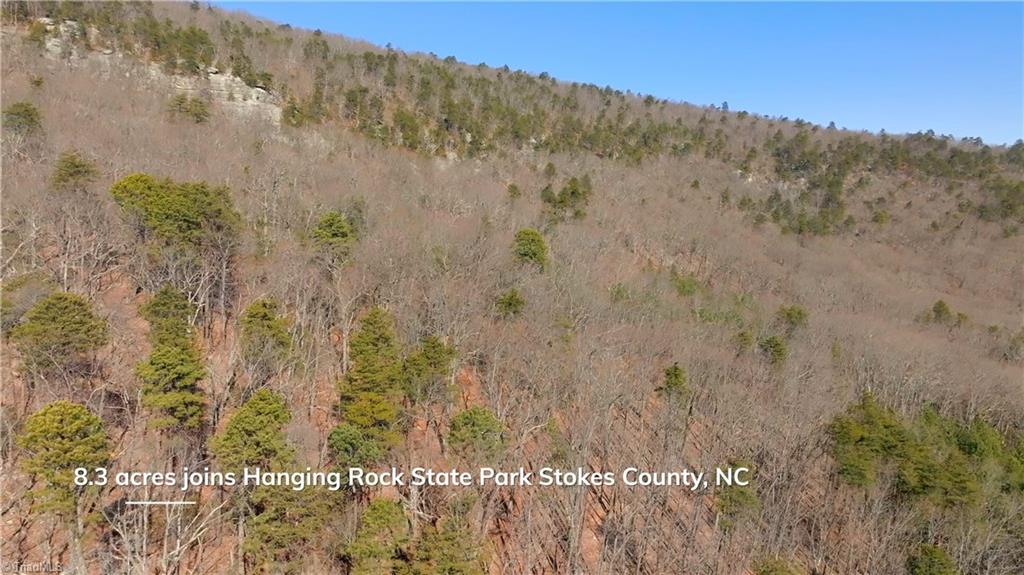Seven Springs Road, Walnut Cove, North Carolina image 5