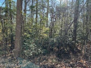 Lot 17 Stevens Drive, Jonesville, North Carolina image 5