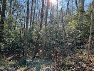 Lot 17 Stevens Drive, Jonesville, North Carolina image 1