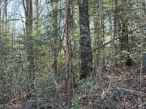 Lot 17 Stevens Drive, Jonesville, North Carolina image 3