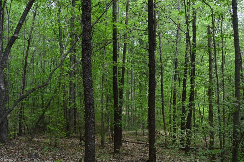 Lot 34 Orchard Lane, Pelham, North Carolina image 4