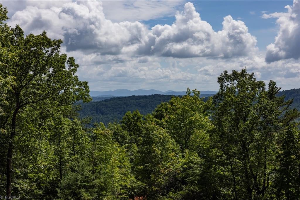 Lot 158 Carriage House Trail, Mcgrady, NC, 28649